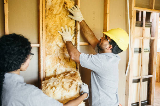 Best Attic Insulation Installation  in South Wenatchee, WA